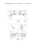 HUMANOID GAME-PLAYING ROBOT, METHOD AND SYSTEM FOR USING SAID ROBOT diagram and image