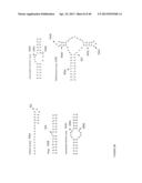 Automated Experimental Design For Polymerase Chain Reaction diagram and image