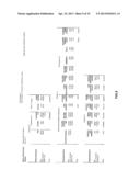 METHOD AND SYSTEM FOR ADMINISTERING THE HEDGING OF AN EMPLOYEE DEFERRED     COMPENSATION PLAN USING SWAPS diagram and image