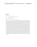 METHYLTRANSFERASE NUCLEIC ACIDS AND POLYPEPTIDES diagram and image