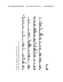 Use of Armadillo Repeat (ARM1) Polynucleotides for Obtaining Pathogen     Resistance in Plants diagram and image