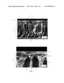 NANOFILTRATION-TYPE THIN FILM COMPOSITE FORWARD OSMOSIS MEMBRANE AND A     METHOD OF SYNTHESIZING THE SAME diagram and image