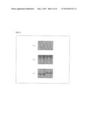 LIQUID CRYSTAL DISPLAY DEVICE diagram and image