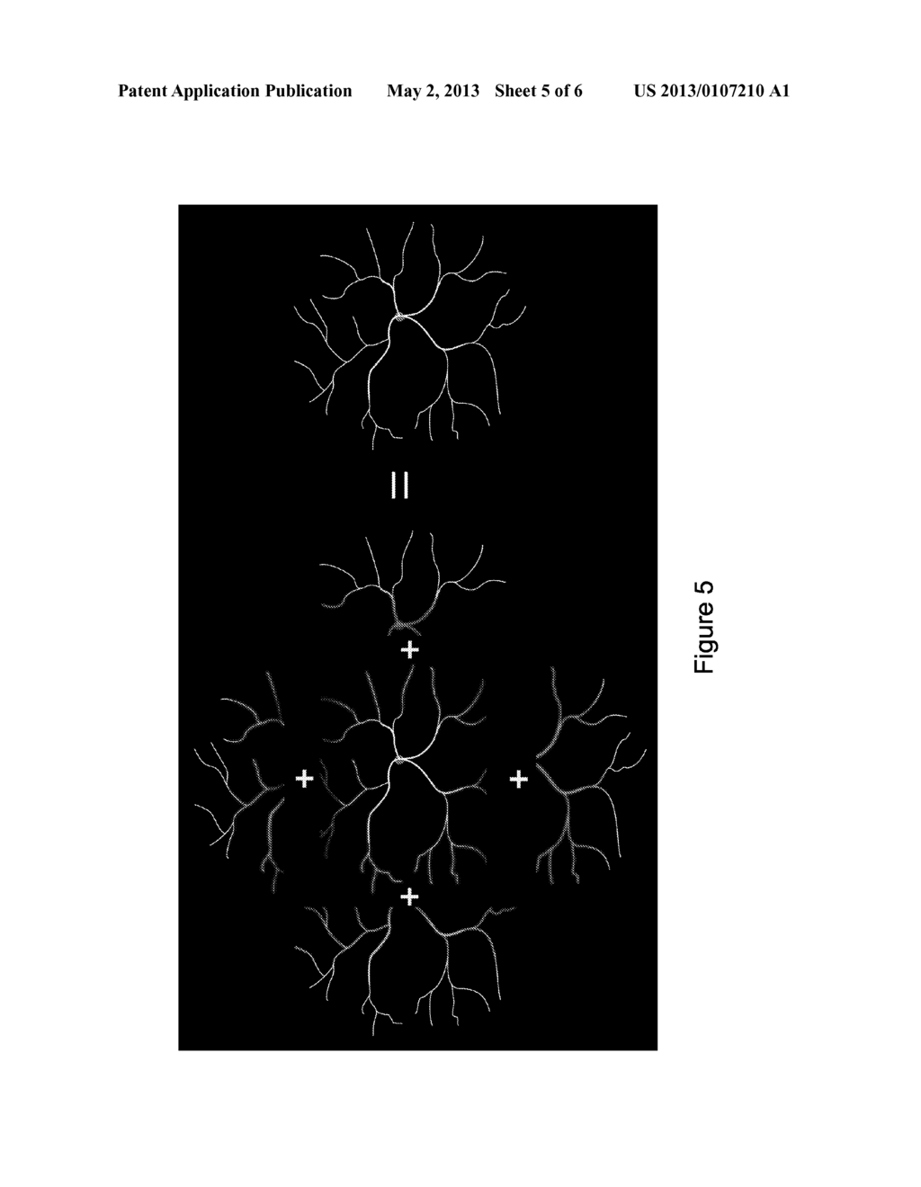 SYSTEMS AND METHODS FOR WIDEFIELD MAPPING OF THE RETINA - diagram, schematic, and image 06