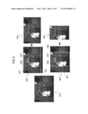 Image Recomposition From Face Detection And Facial Features diagram and image