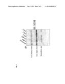 Humanized Antibodies That Recognize Alpha-Synuclein diagram and image