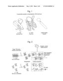 PEPTIDE PROBES FOR DIAGNOSTICS AND THERAPEUTICS diagram and image