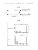 PEPTIDE PROBES FOR DIAGNOSTICS AND THERAPEUTICS diagram and image
