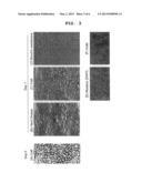 METHOD FOR PRODUCING CELL SHEET diagram and image