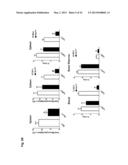 METHODS AND USES OF NUR77 AND NUR77 AGONISTS TO MODULATE MACROPHAGES AND     MONOCYTES, AND TREAT INFLAMMATION, INFLAMMATORY DISEASE AND     CARDIOVASCULAR DISEASE diagram and image