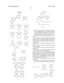 METHOD OF AMELIORATING OXIDATIVE STRESS AND SUPPLEMENTING THE DIET diagram and image