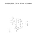 METHODS OF TREATMENT USING ANTI-ERBB ANTIBODY-MAYTANSINOID CONJUGATES diagram and image