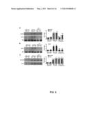 Method for treating cancer pain and/or rescuing analgesic effect of     morphine treatment of cancer pain diagram and image