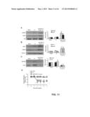 Method for treating cancer pain and/or rescuing analgesic effect of     morphine treatment of cancer pain diagram and image