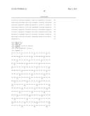 HIGH-AFFINITY FULLY FUNCTIONAL SOLUBLE SINGLE-DOMAIN HUMAN CD4,     ANTIBODIES, AND RELATED FUSION PROTEINS diagram and image