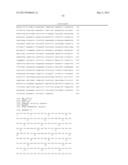 HIGH-AFFINITY FULLY FUNCTIONAL SOLUBLE SINGLE-DOMAIN HUMAN CD4,     ANTIBODIES, AND RELATED FUSION PROTEINS diagram and image