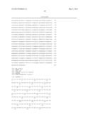 HIGH-AFFINITY FULLY FUNCTIONAL SOLUBLE SINGLE-DOMAIN HUMAN CD4,     ANTIBODIES, AND RELATED FUSION PROTEINS diagram and image