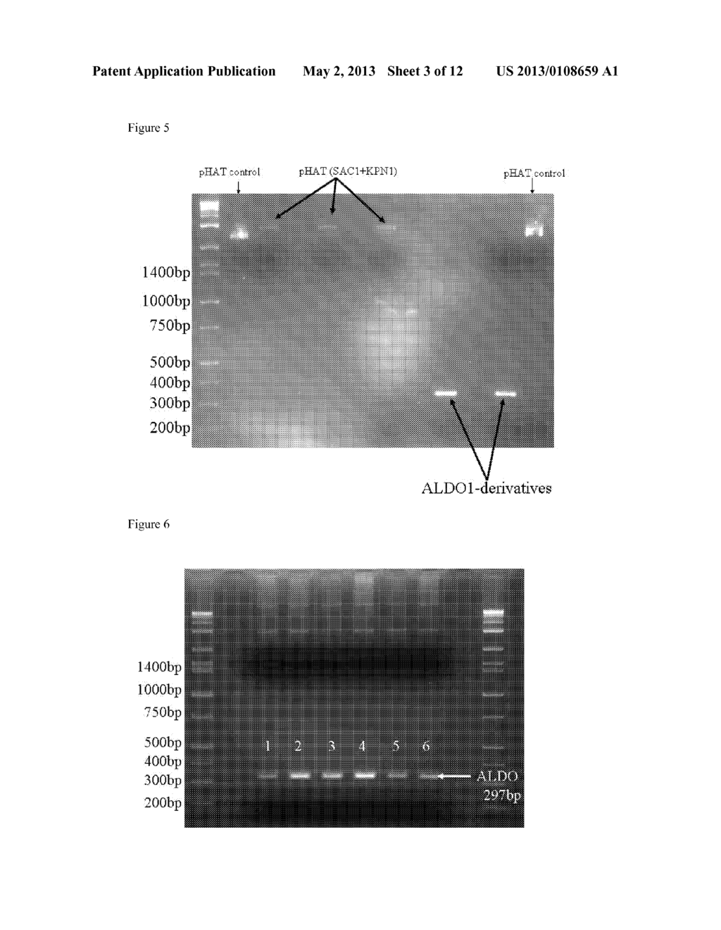 PROTEIN-BASED STREPTOCOCCUS PNEUMONIAE VACCINE - diagram, schematic, and image 04