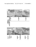 Delivery of H2 Antagonists diagram and image