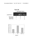 ANTI-APOPTOTIC PROTEIN ANTIBODIES diagram and image