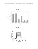 ANTI-APOPTOTIC PROTEIN ANTIBODIES diagram and image