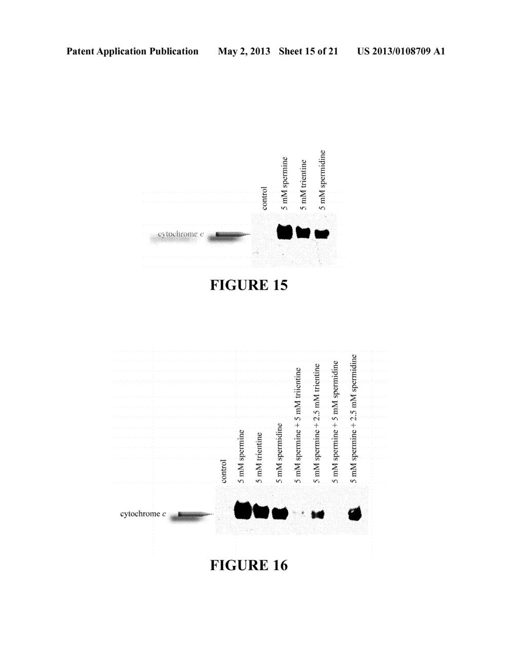 TREATMENT OF MITOCHONDRIA-RELATED DISEASES AND IMPROVEMENT OF AGE-RELATED     METABOLIC DEFICITS - diagram, schematic, and image 16