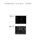 COMPOSITE PARTICLES WHICH CONTAIN BOTH CELLULOSE AND INORGANIC COMPOUND diagram and image