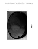 CRYSTALLINE STRONTIUM TITANATE AND METHODS OF FORMING THE SAME diagram and image