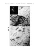 CRYSTALLINE STRONTIUM TITANATE AND METHODS OF FORMING THE SAME diagram and image