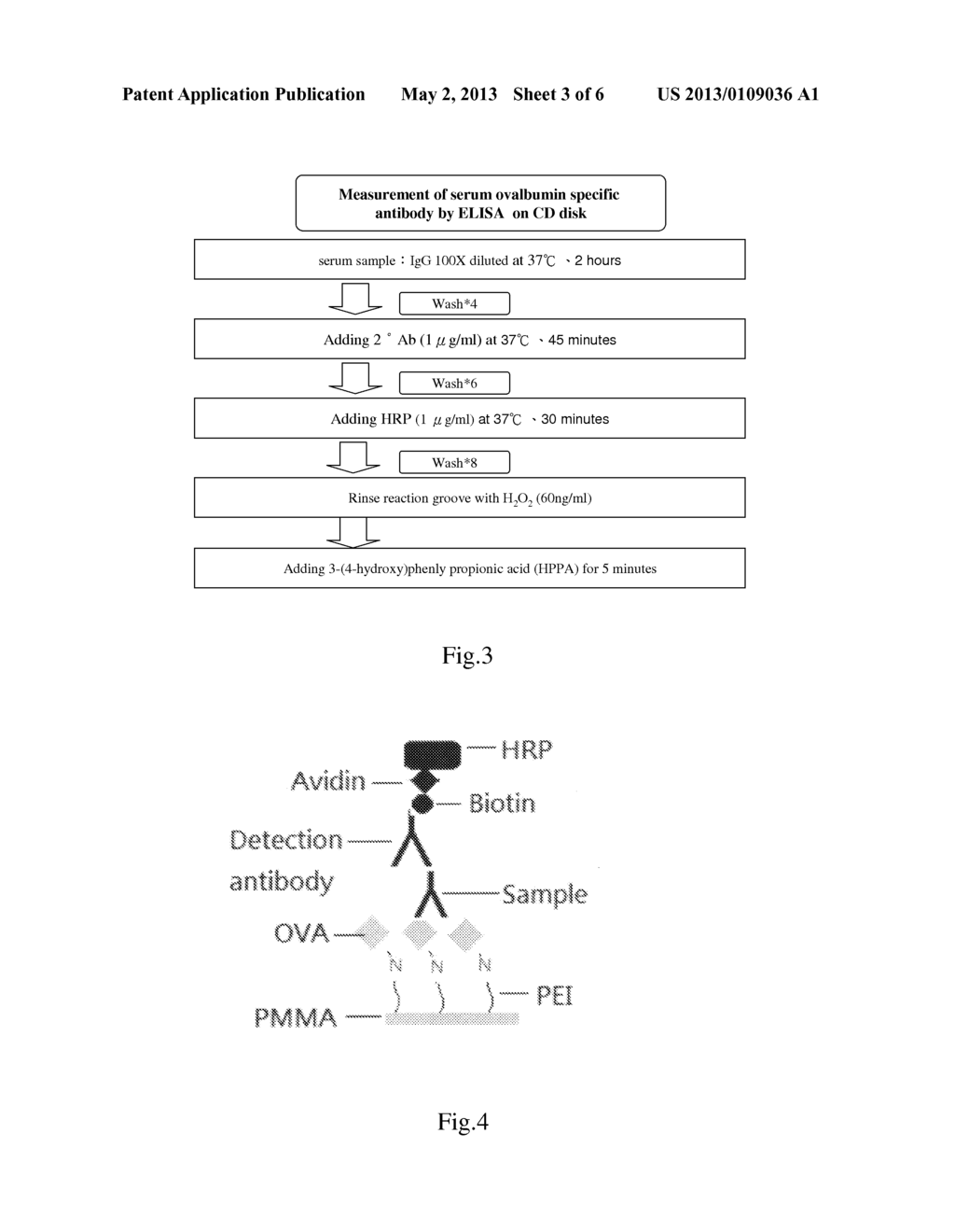 PROTEIN SUBSTRATE AND ITS MANUFACTURING METHOD - diagram, schematic, and image 04