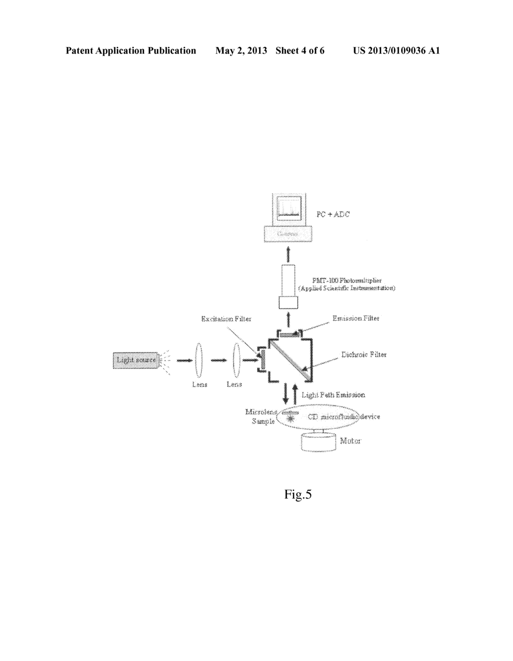 PROTEIN SUBSTRATE AND ITS MANUFACTURING METHOD - diagram, schematic, and image 05