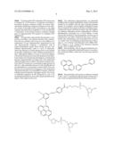 Nucleic Acid Amplification in the Presence of Modified Randomers diagram and image