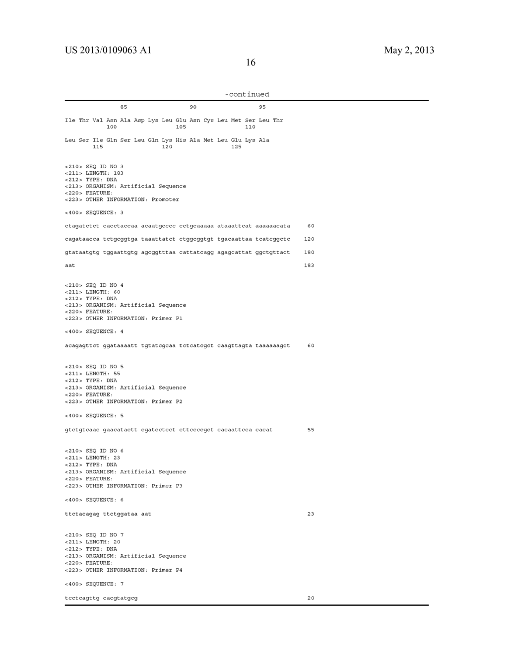 Method for Producing an L-Amino Acid Using a Bacterium of the     Enterobacteriaceae Family - diagram, schematic, and image 17