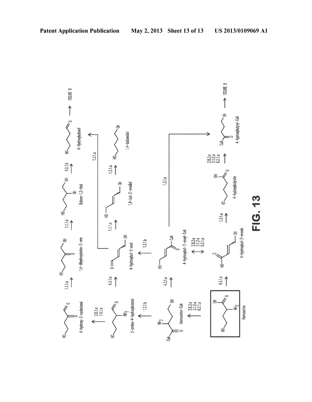 MICROORGANISMS FOR THE PRODUCTION OF 1,4-BUTANEDIOL - diagram, schematic, and image 14