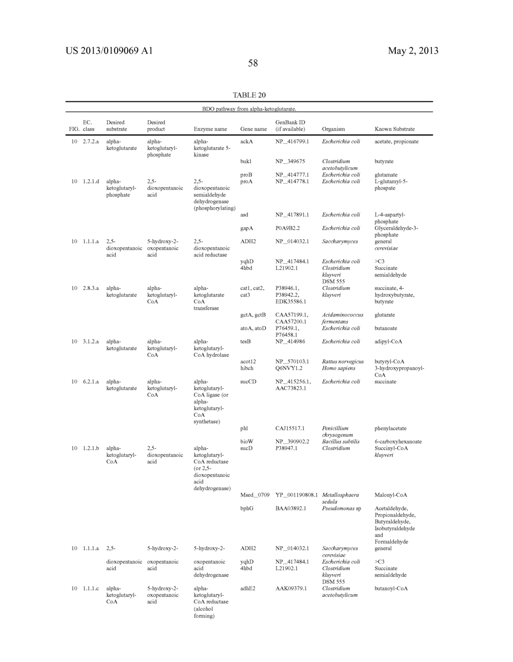 MICROORGANISMS FOR THE PRODUCTION OF 1,4-BUTANEDIOL - diagram, schematic, and image 72