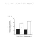 Method for obtaining pancreatic endocrine cells from adipose tissue-origin     cells diagram and image