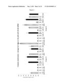 METHOD FOR TRANSFECTING A EUKARYOTIC CELL diagram and image