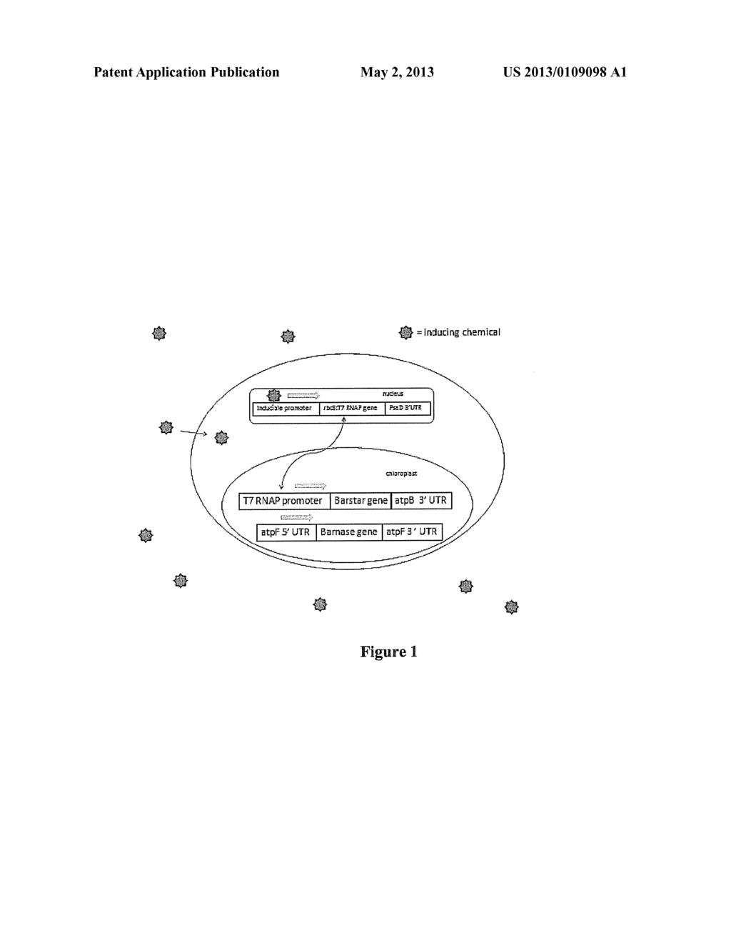 BIOSECURE GENETICALLY MODIFIED ALGAE - diagram, schematic, and image 02