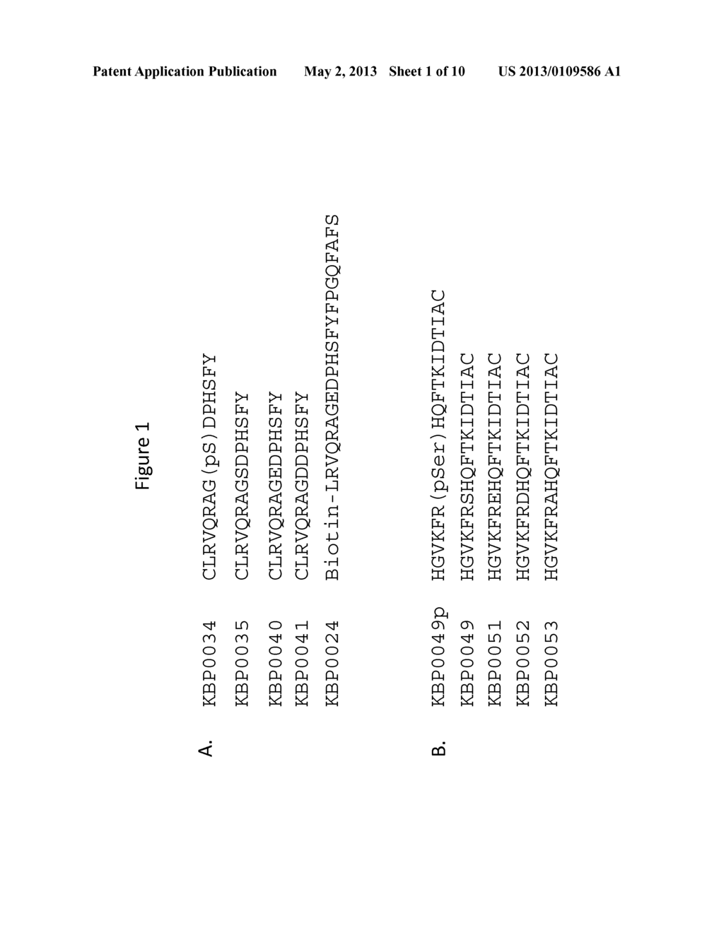 GENERATION OF ANTIBODIES TO AN EPITOPE OF INTEREST THAT CONTAINS A     PHOSPHOMIMETIC AMINO ACID - diagram, schematic, and image 02