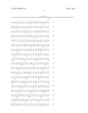 USP2A PEPTIDES AND ANTIBODIES diagram and image