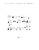 EXPRESSION OF MONOCLONAL ANTIBODIES IN CILIATE HOST CELLS diagram and image