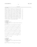 EXPRESSION OF MONOCLONAL ANTIBODIES IN CILIATE HOST CELLS diagram and image