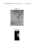 STRUCTURED CATALYTIC NANOPARTICLES AND METHOD OF PREPARATION diagram and image