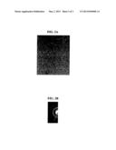 STRUCTURED CATALYTIC NANOPARTICLES AND METHOD OF PREPARATION diagram and image