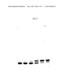 RNA VIRUS-DERIVED PEPTIDES WITH MODIFIED SIDE CHAINS diagram and image