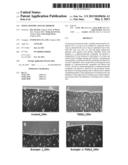 NOVEL PEPTIDE AND USE THEREOF diagram and image