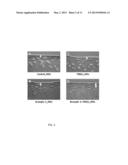 NOVEL PEPTIDE AND USE THEREOF diagram and image