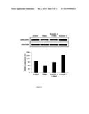 NOVEL PEPTIDE AND USE THEREOF diagram and image