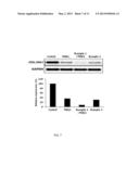 NOVEL PEPTIDE AND USE THEREOF diagram and image