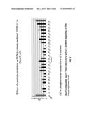 OXAZOLE AND THIAZOLE COMPOUNDS AS BETA-CATENIN MODULATORS AND USES THEREOF diagram and image